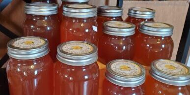Scotch Lake Farm honey